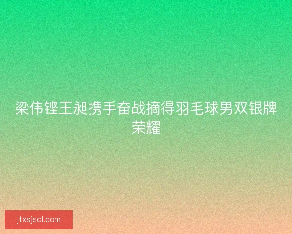 梁伟铿王昶携手奋战摘得羽毛球男双银牌荣耀
