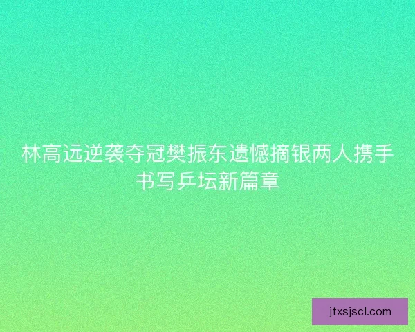 林高远逆袭夺冠樊振东遗憾摘银两人携手书写乒坛新篇章