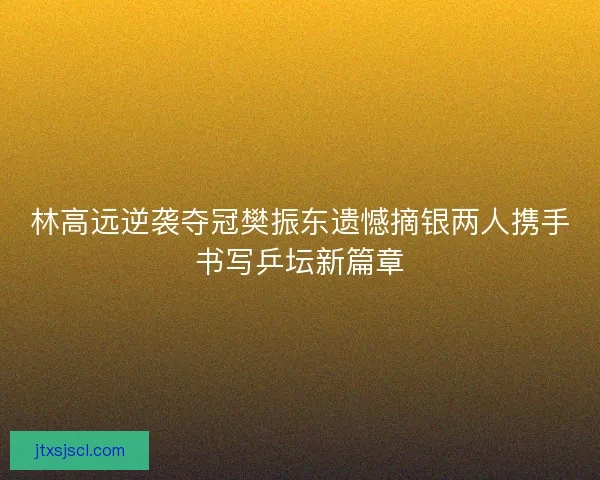 林高远逆袭夺冠樊振东遗憾摘银两人携手书写乒坛新篇章